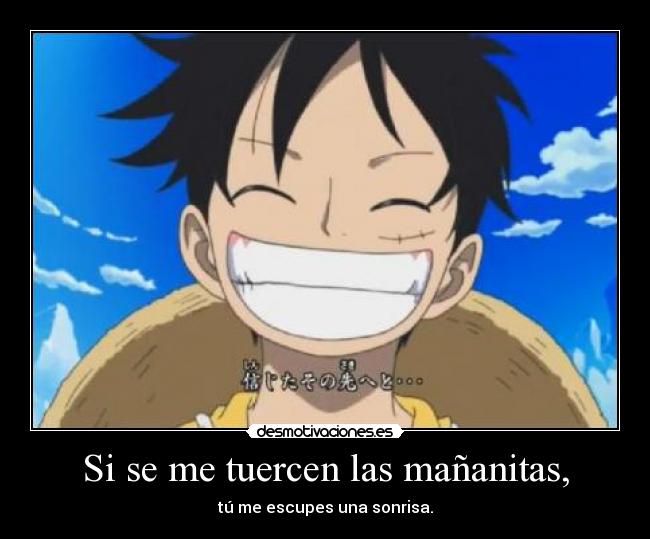 carteles one piece luffy rulo contrabanda cenicienta desmotivaciones