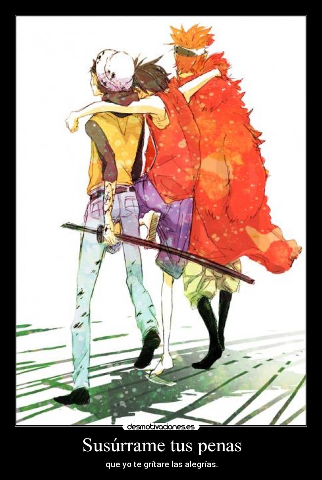 carteles trafalgar law luffy kidd one piece ayyy celos por aqi celos por aya desmotivaciones