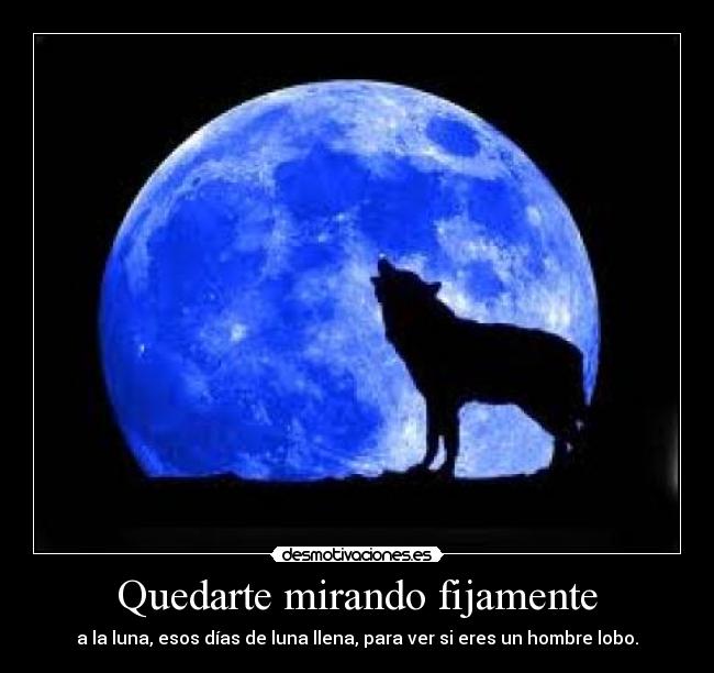 Quedarte mirando fijamente - a la luna, esos días de luna llena, para ver si eres un hombre lobo.