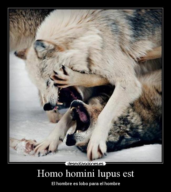 Homo homini lupus est -
