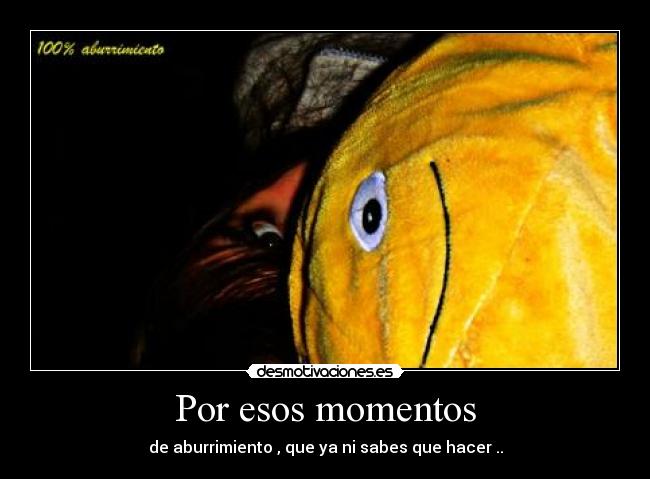 Por esos momentos -