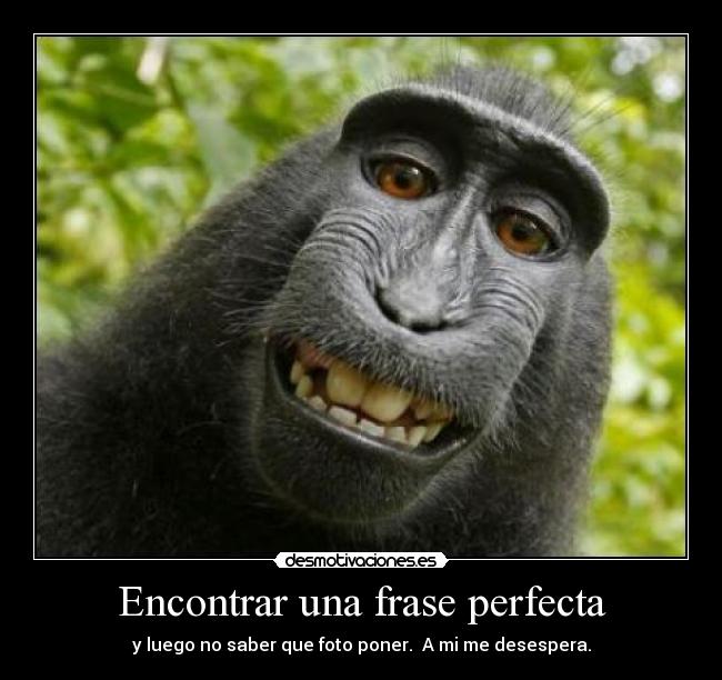 Encontrar una frase perfecta - 
