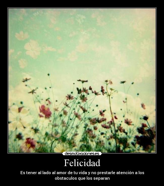Felicidad - 