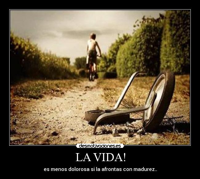LA VIDA! -