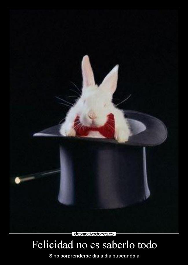 Felicidad no es saberlo todo - Sino sorprenderse dia a dia buscandola