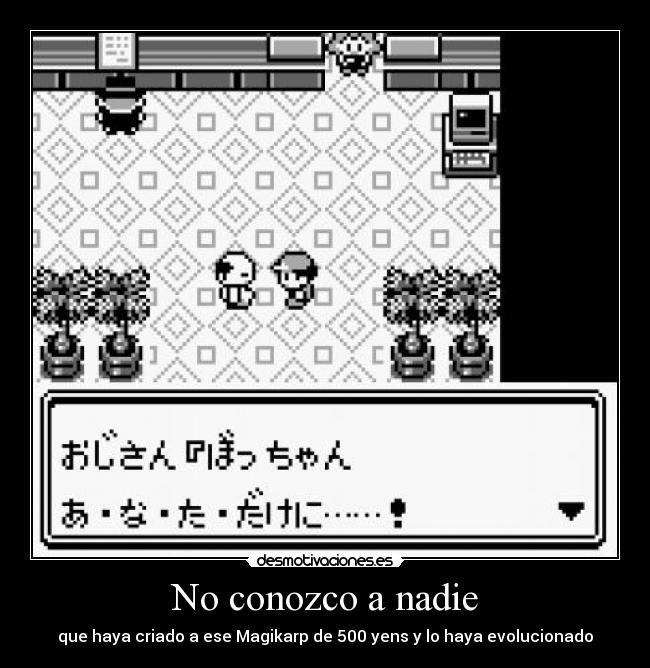No conozco a nadie - que haya criado a ese Magikarp de 500 yens y lo haya evolucionado