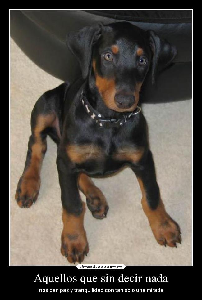 Aquellos que sin decir nada - 