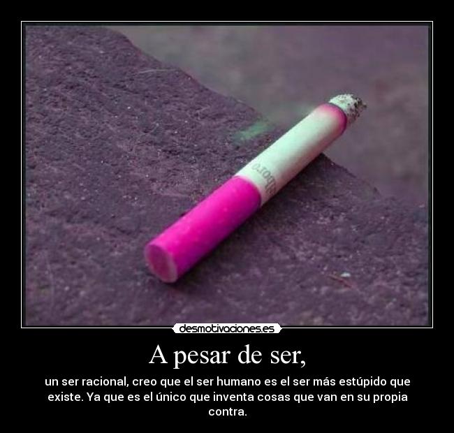 A pesar de ser, - un ser racional, creo que el ser humano es el ser más estúpido que
existe. Ya que es el único que inventa cosas que van en su propia
contra.