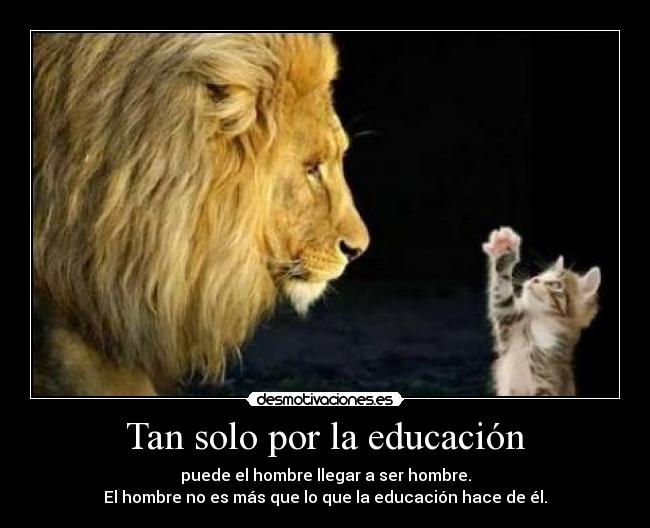 Tan solo por la educación - puede el hombre llegar a ser hombre.
El hombre no es más que lo que la educación hace de él.