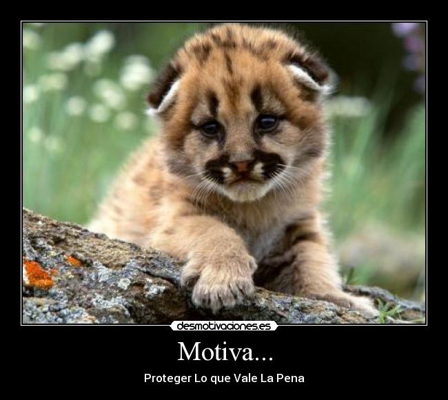 Motiva... - 