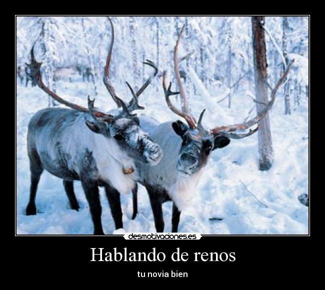 Hablando de renos -
