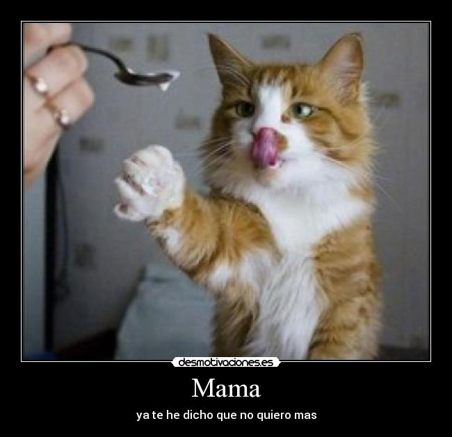 carteles mama desmotivaciones