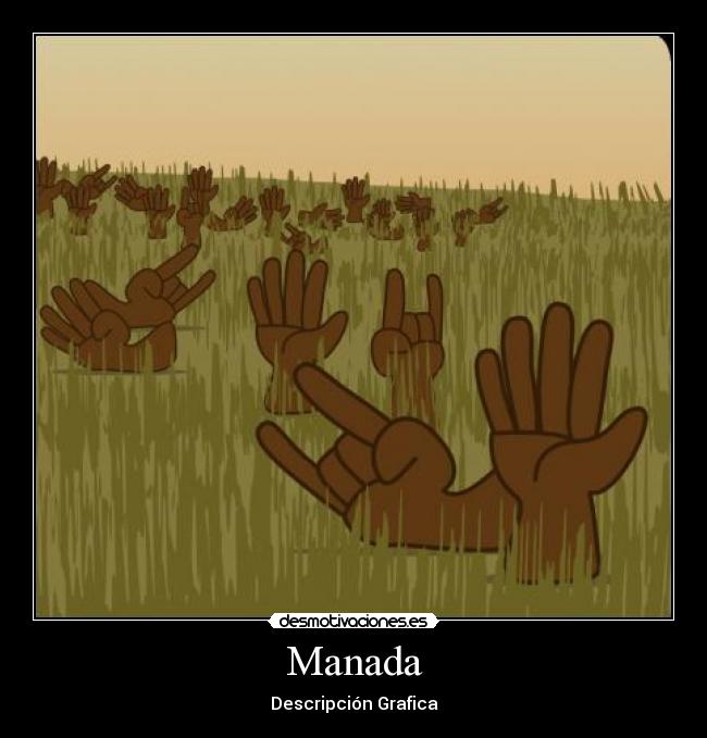 Manada - Descripción Grafica