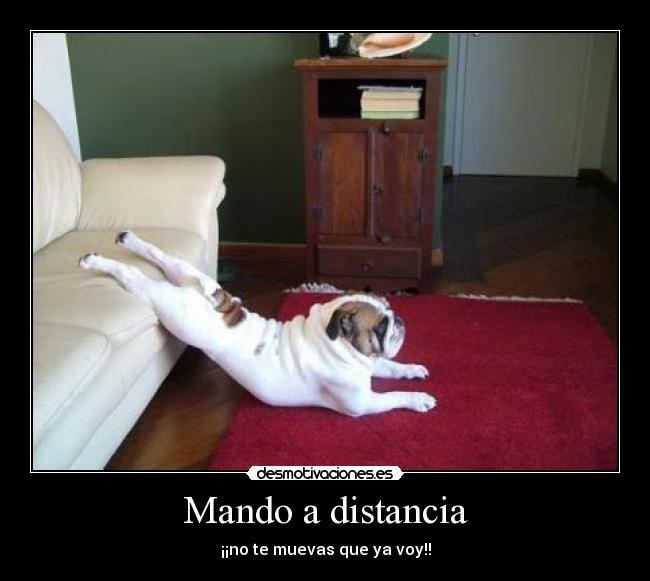 Mando a distancia - ¡¡no te muevas que ya voy!!