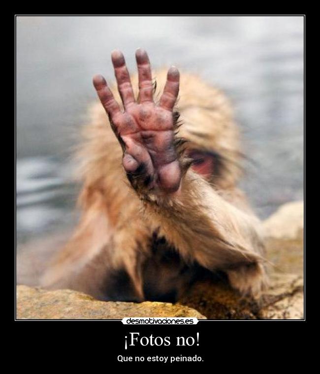 carteles fotos desmotivaciones