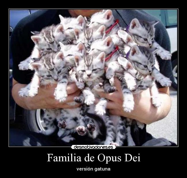 Familia de Opus Dei - versión gatuna