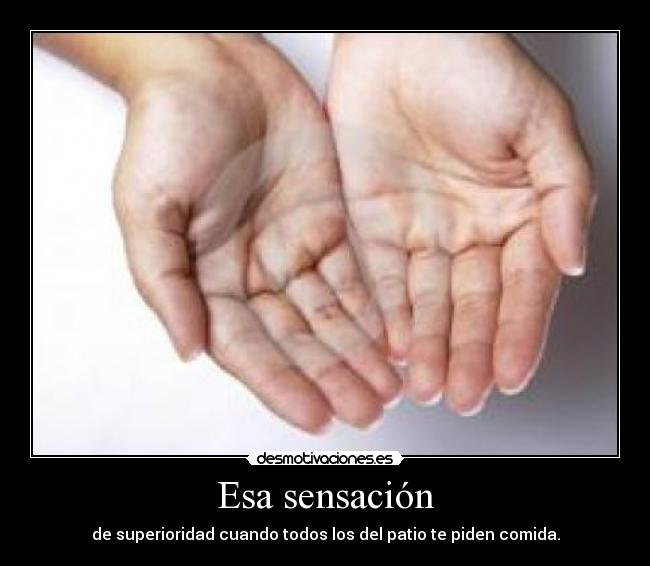 Esa sensación - de superioridad cuando todos los del patio te piden comida.