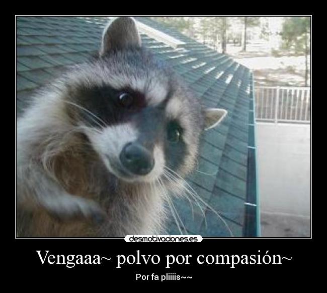 Vengaaa~ polvo por compasión~ - 