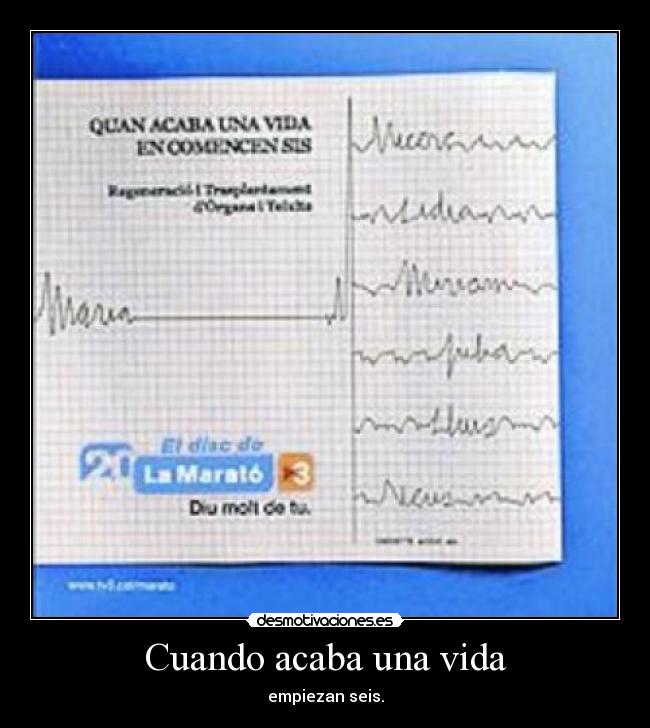 carteles vida marato tv3 desmotivaciones