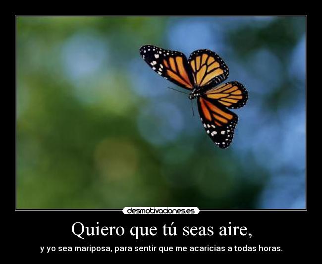 carteles love desmotivaciones