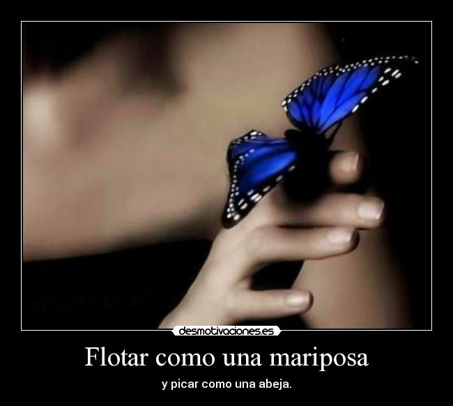 Flotar como una mariposa - 