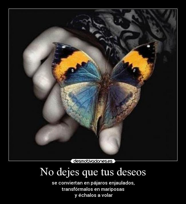 No dejes que tus deseos - se conviertan en pájaros enjaulados,
transfórmalos en mariposas
y échalos a volar