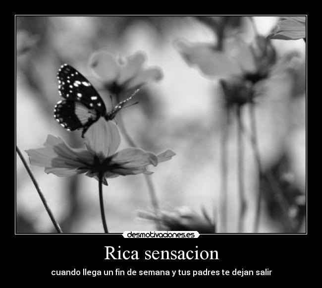 Rica sensacion - cuando llega un fin de semana y tus padres te dejan salir