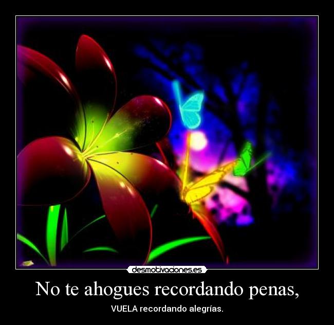 No te ahogues recordando penas, - VUELA recordando alegrías.