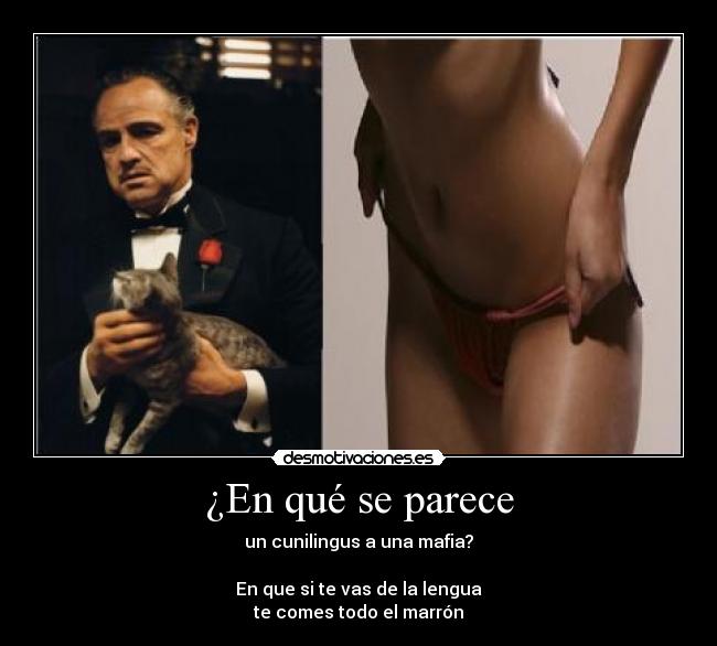 ¿En qué se parece - un cunilingus a una mafia?

En que si te vas de la lengua
te comes todo el marrón