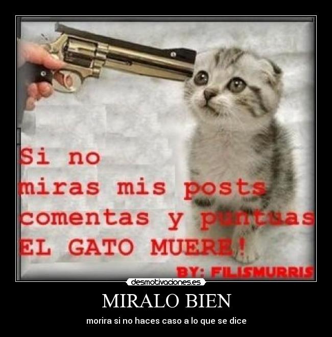 MIRALO BIEN -