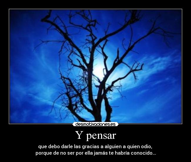 Y pensar - que debo darle las gracias a alguien a quien odio, 
porque de no ser por ella jamás te habría conocido...