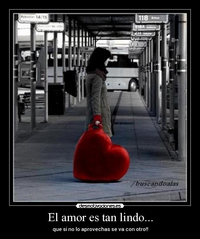 El amor es tan lindo... -