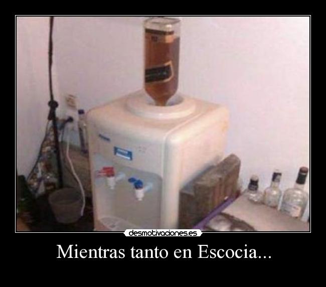 Mientras tanto en Escocia... -