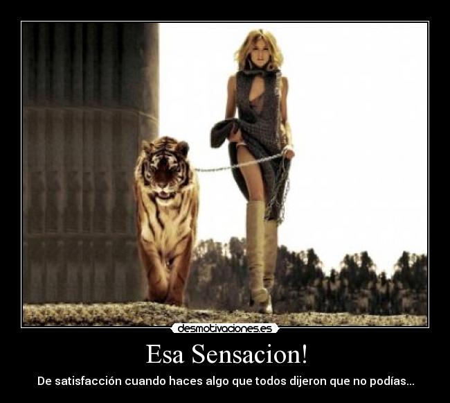 Esa Sensacion! - De satisfacción cuando haces algo que todos dijeron que no podías...