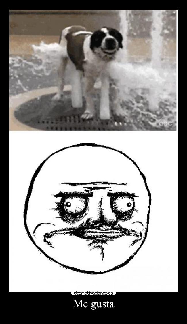 carteles hakunamatata sonrisapervertida elclanviral malafrutanuncamuer bonita desmotivaciones