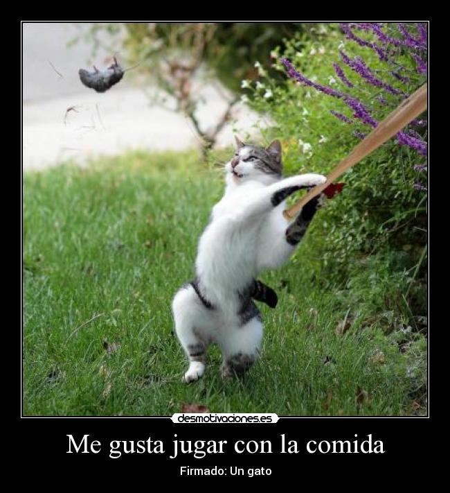 carteles comida diego party hahahahaaah esta drogi intruders principal desmotivaciones