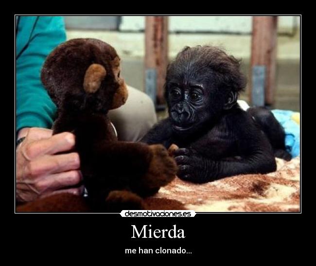 Mierda - 