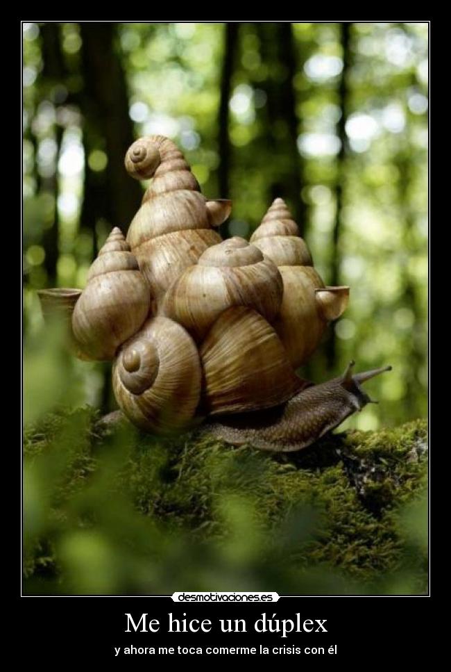 Me hice un dúplex -