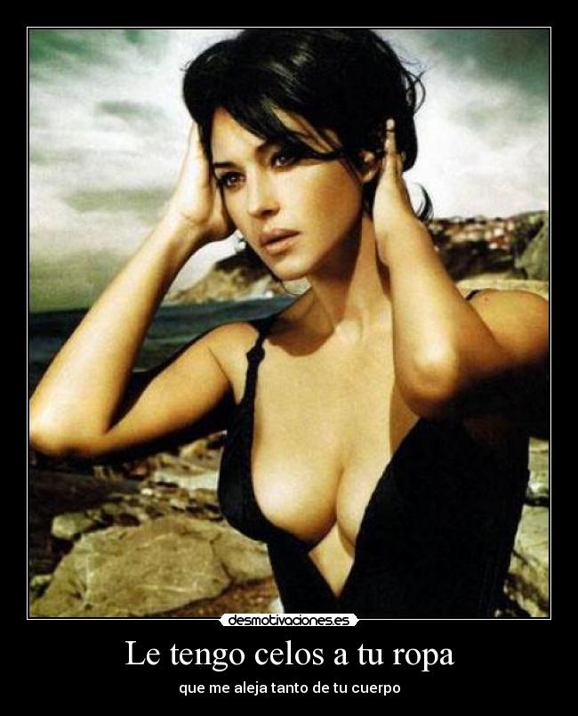carteles celos celos ropa desmotivaciones
