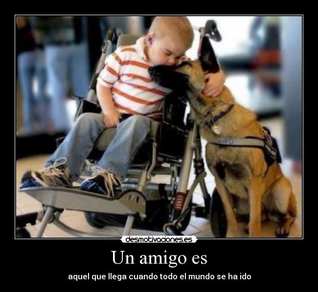 Un amigo es - aquel que llega cuando todo el mundo se ha ido