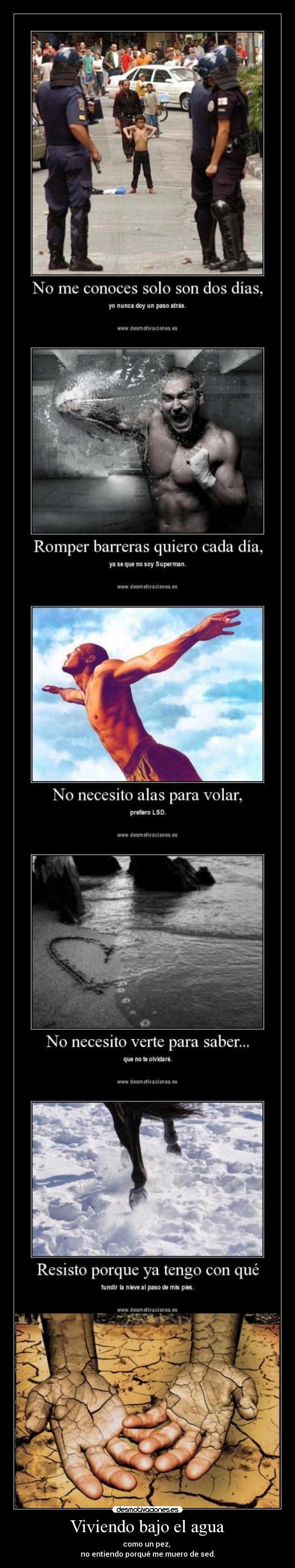 Viviendo bajo el agua - como un pez,
no entiendo porqué me muero de sed.