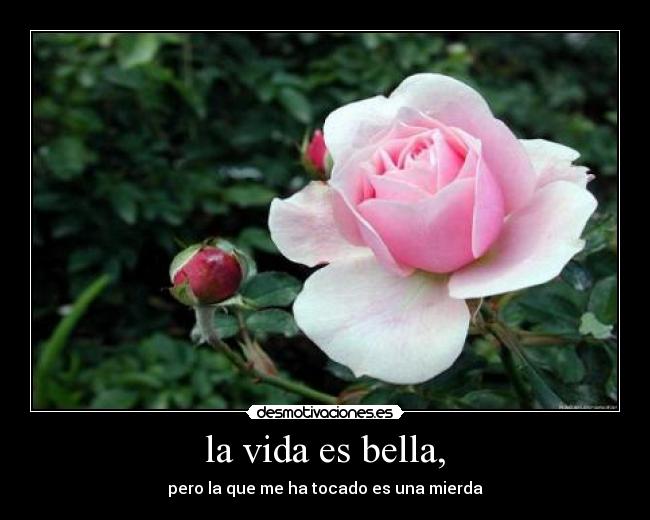 la vida es bella, - pero la que me ha tocado es una mierda