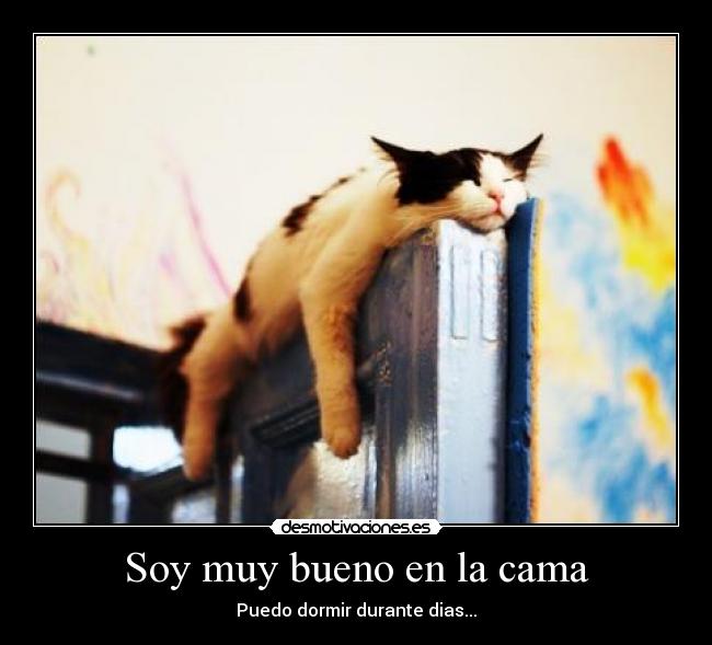 Soy muy bueno en la cama - Puedo dormir durante dias...
