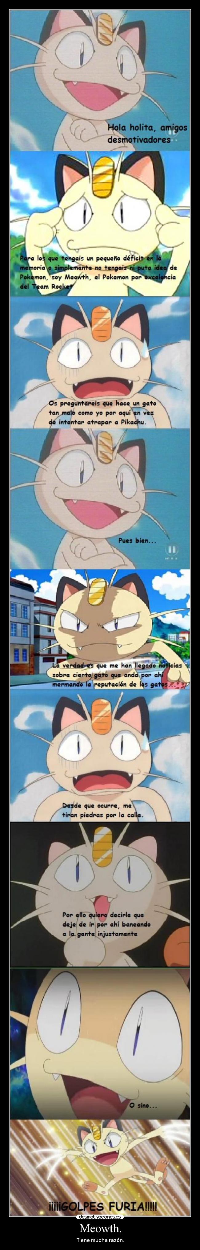 Meowth. - Tiene mucha razón.