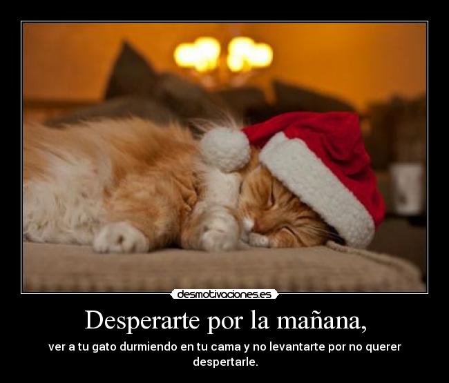Desperarte por la mañana, - 