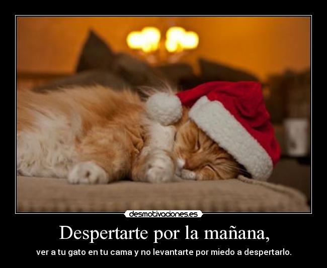 Despertarte por la mañana, -