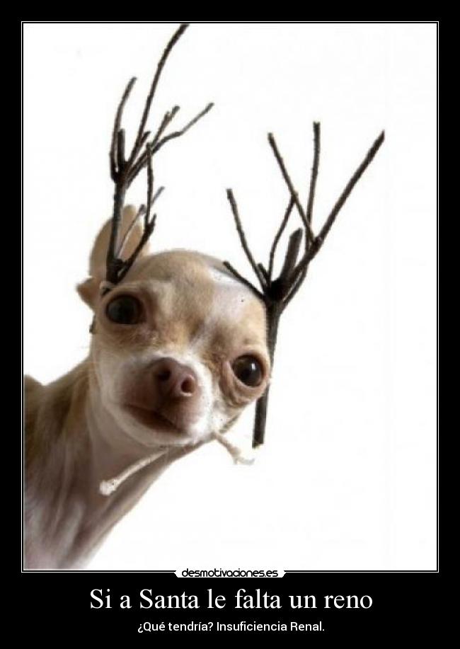 Si a Santa le falta un reno -