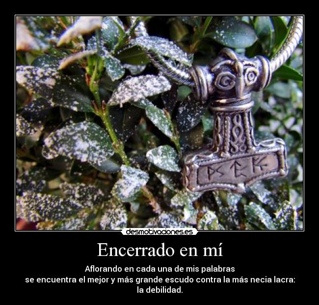 carteles terasbetoni desmotivaciones