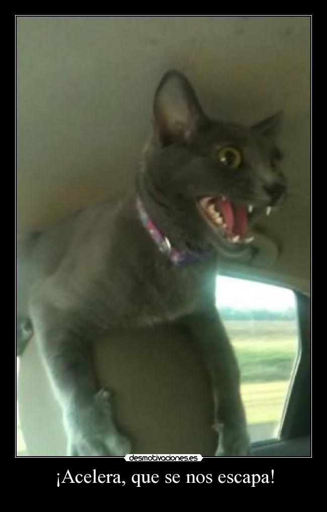 ¡Acelera, que se nos escapa! -