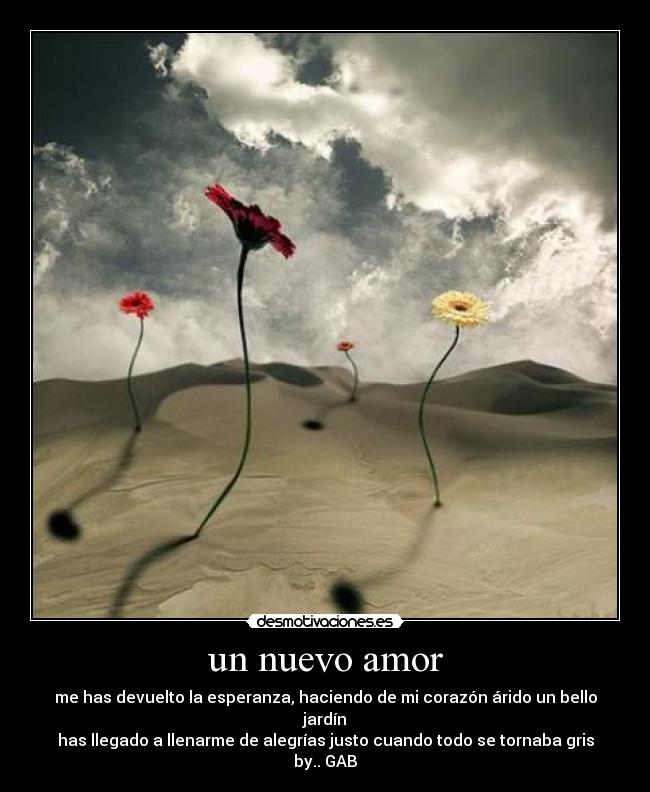 Desmotivaciones de un nuevo amor Imagui Desmotivaciones de un nuevo amor Imagui